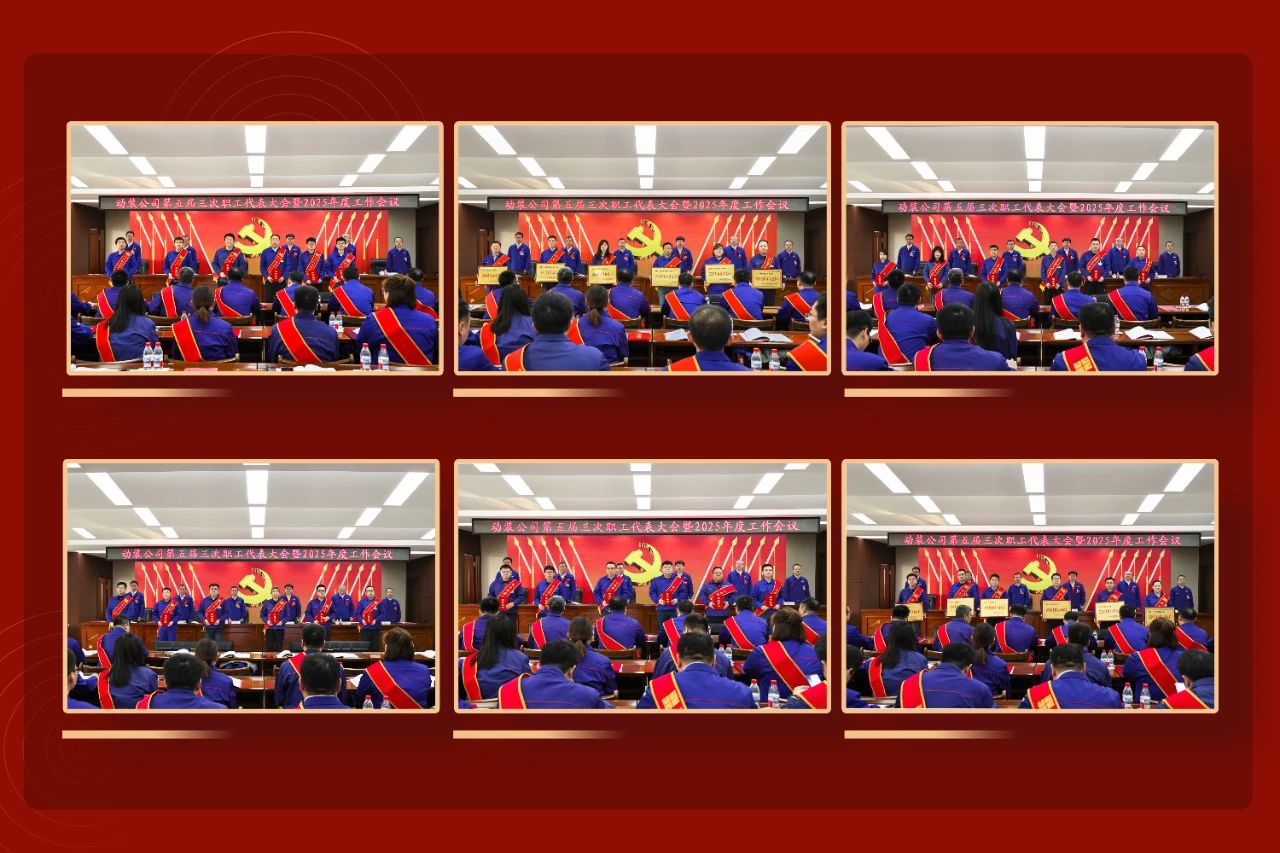 ed_1743473955795250.jpg 5.jpg